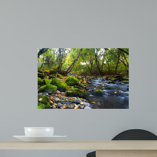 River with Mossy Stones Wall Decal