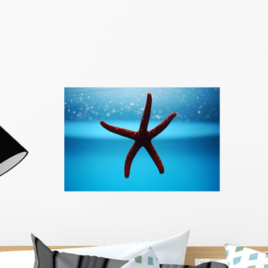 Seestern Aquarium Wall Mural