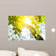 Birch Rising Sun