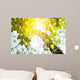 Birch Rising Sun