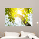 Birch Rising Sun