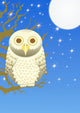 Night Owl