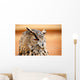 Caucasian Owl