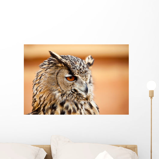 Caucasian Owl