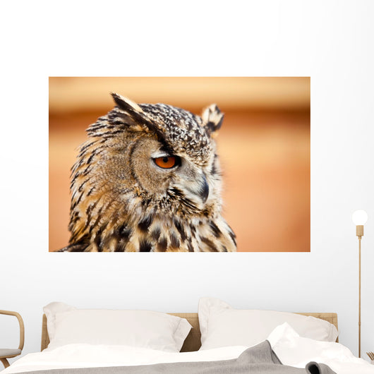 Caucasian Owl