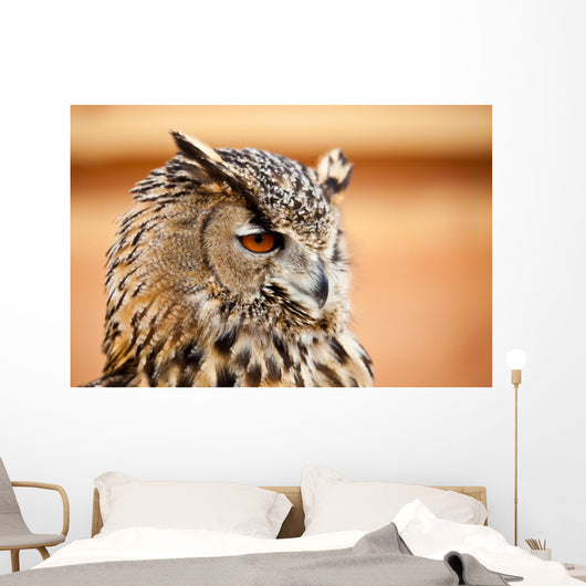 Caucasian Owl