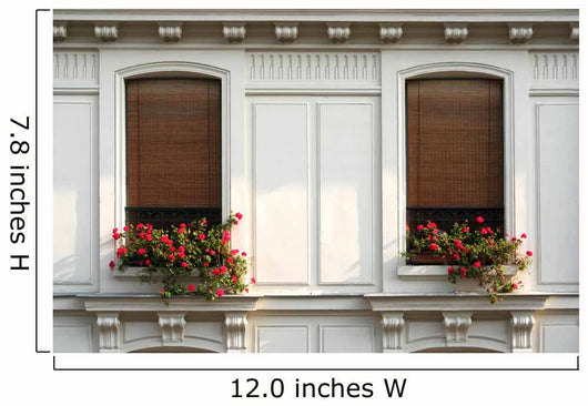 Paris Windows