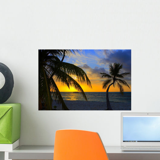 sunset in the indian ocean Wall Mural