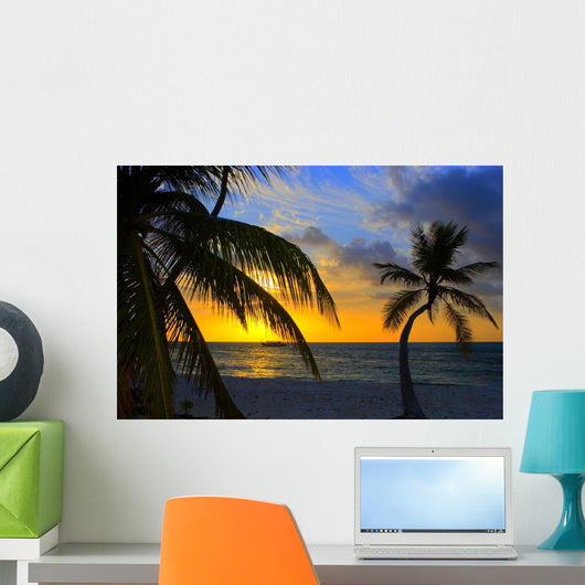 sunset in the indian ocean Wall Mural
