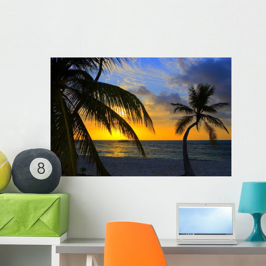 sunset in the indian ocean Wall Mural