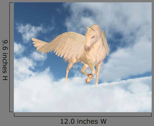 Pegasus Looking down through