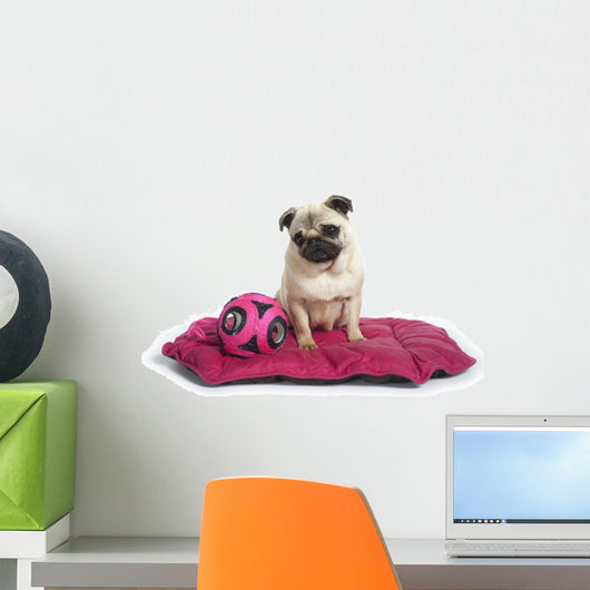 Chien Sur Son Tapis Wall Mural