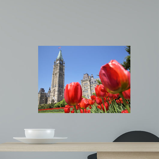 Parliament of canada, red tulips, Ottawa Wall Mural
