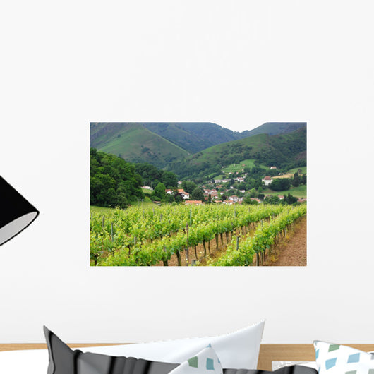 Iroulguy Vineyard Basque Country
