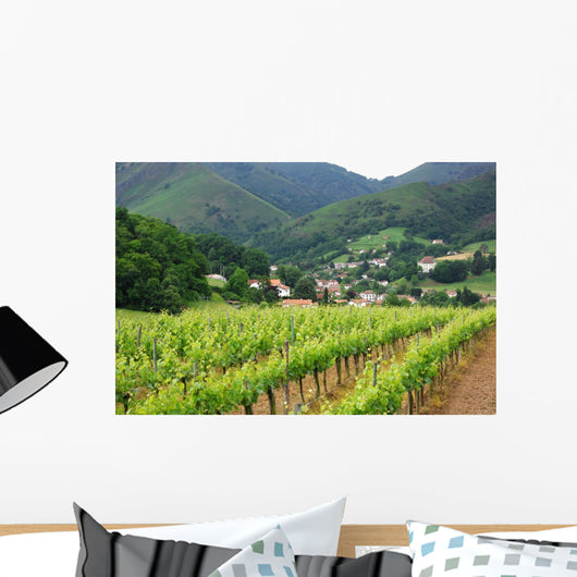 Iroulguy Vineyard Basque Country