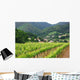 Iroulguy Vineyard Basque Country