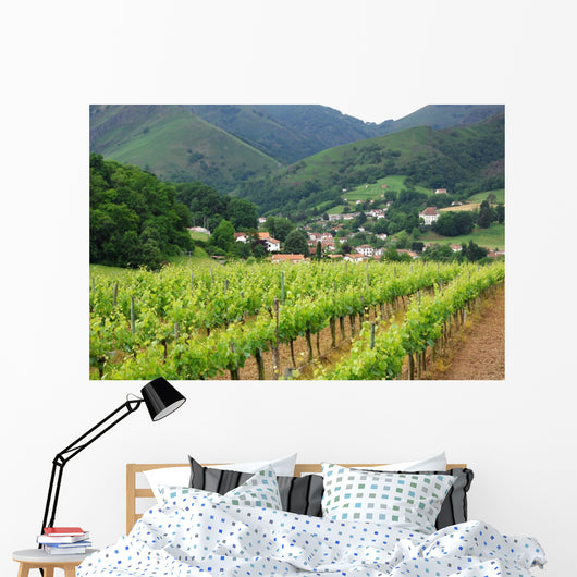 Iroulguy Vineyard Basque Country