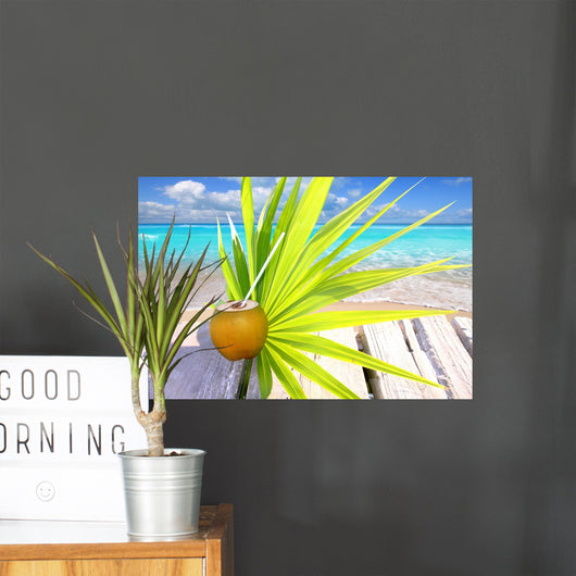 Coconut Fresh Caribbean Sea