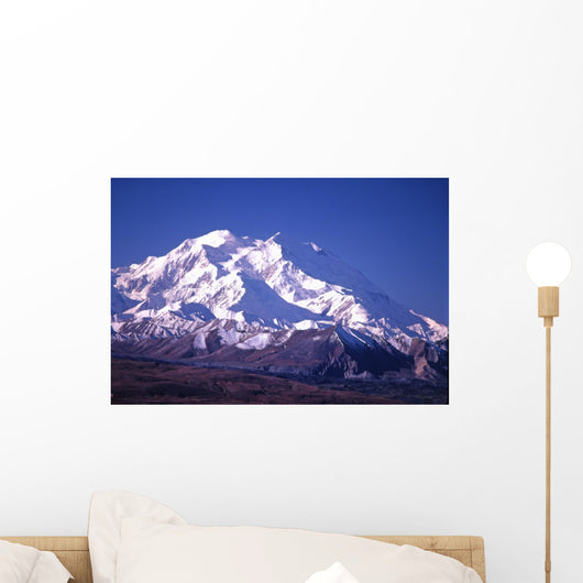 mt mckinley (denali) in alaska Wall Mural