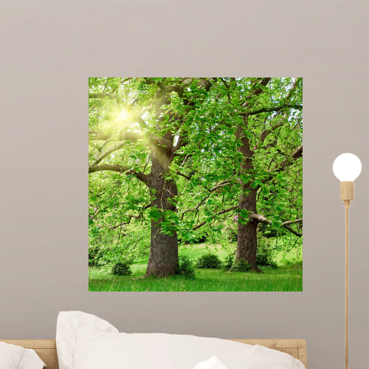 Big Plane Trees and Wall Mural