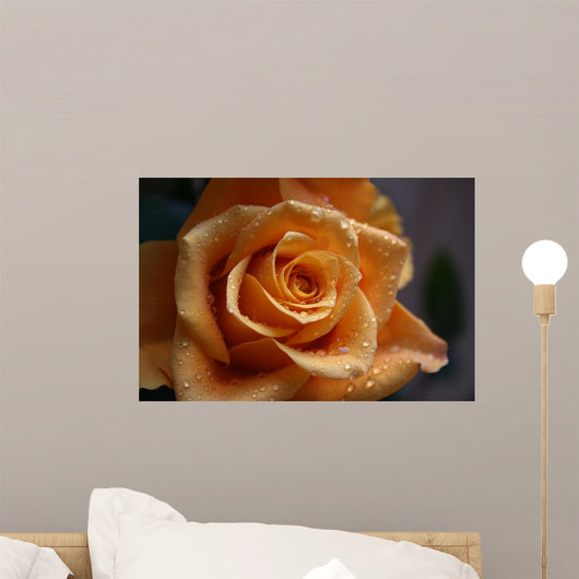 Rose Wall Decal