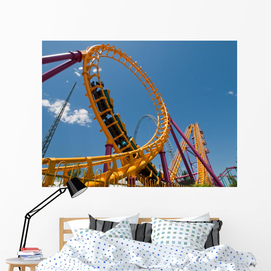 Roller Coaster Wall Mural