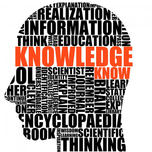 knowledge in your head Wall Decal