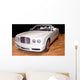 Luxury Convertible Wall Mural