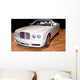 Luxury Convertible Wall Mural