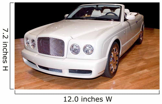 Luxury Convertible Wall Mural