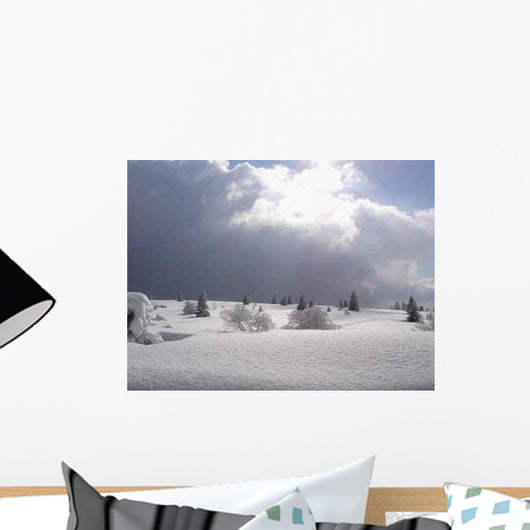 Winter Field Fire Wall Decal