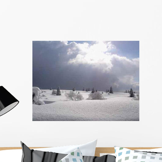 Winter Field Fire Wall Decal