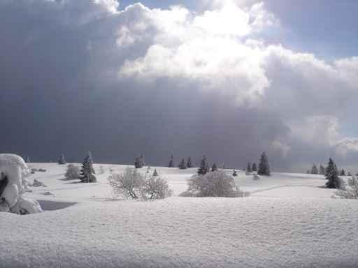 Winter Field Fire Wall Decal