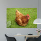 Brown Them Wall Mural