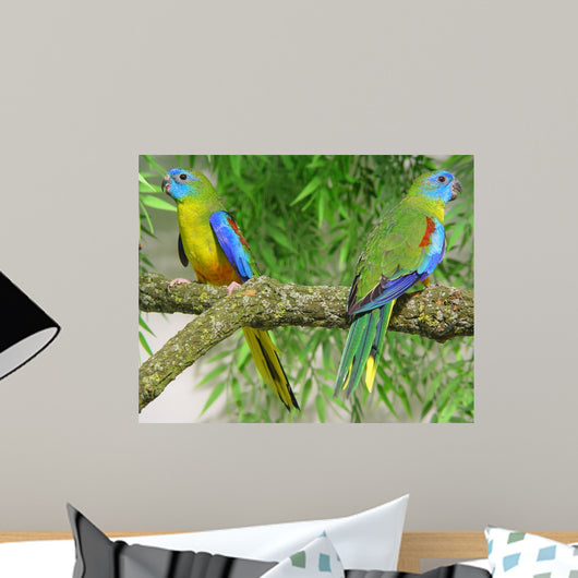 Oiseaux Exotique Wall Decal