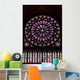 Stained Glass Window in Notre Dame Wall Mural