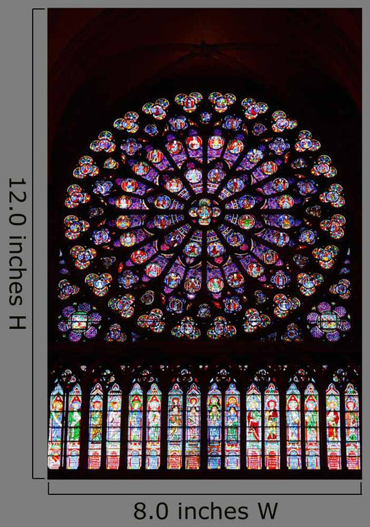 Stained Glass Window in Notre Dame Wall Mural