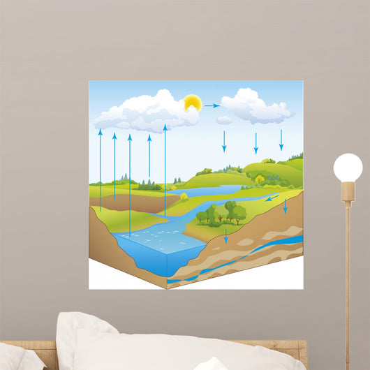 Vector schematic representation of the water cycle in nature Wall Mural
