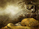 Dragon fantasy scenery and the mountain of gold Wall Mural
