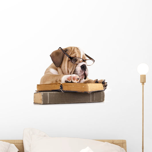 Dog Decals - Purebred English Bulldog in Glasses with Book Wall Decal