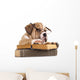 Dog Decals - Purebred English Bulldog in Glasses with Book Wall Decal