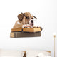 Dog Decals - Purebred English Bulldog in Glasses with Book Wall Decal