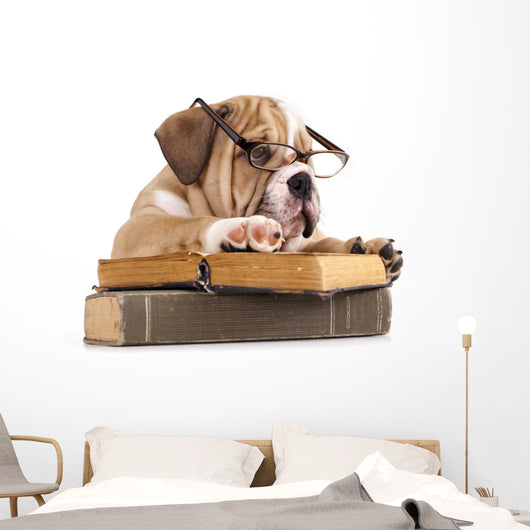 Dog Decals - Purebred English Bulldog in Glasses with Book Wall Decal