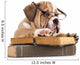 Dog Decals - Purebred English Bulldog in Glasses with Book Wall Decal