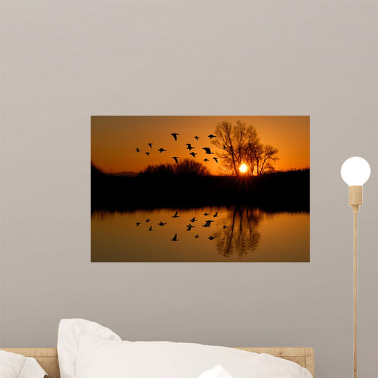 Evening Ducks Wall Mural