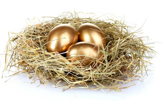 Golden Eggs Nest Wall Decal