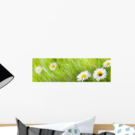 Daisy Flower and Green