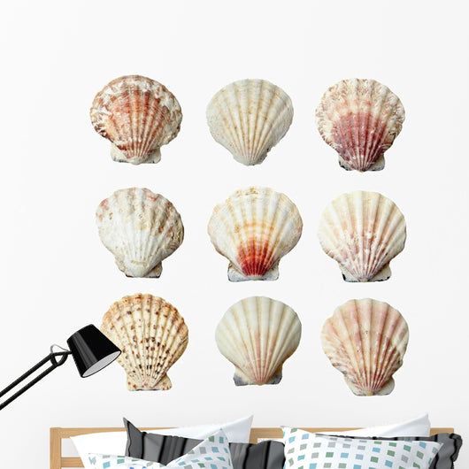 Pink and White Seashells Wall Decal Sticker Set