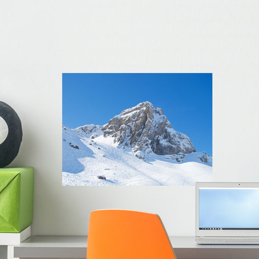 Skiing Slope Wall Mural