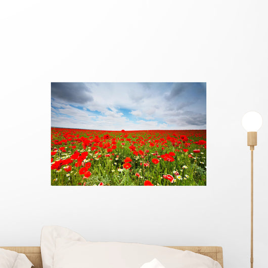 flowers field Wall Mural